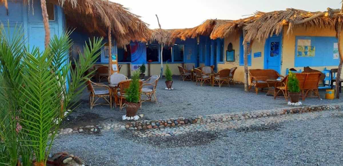 Tauchen Marsa Alam - Deutsche Tauchschule von Padi, Cmas, Ssi. photo 5