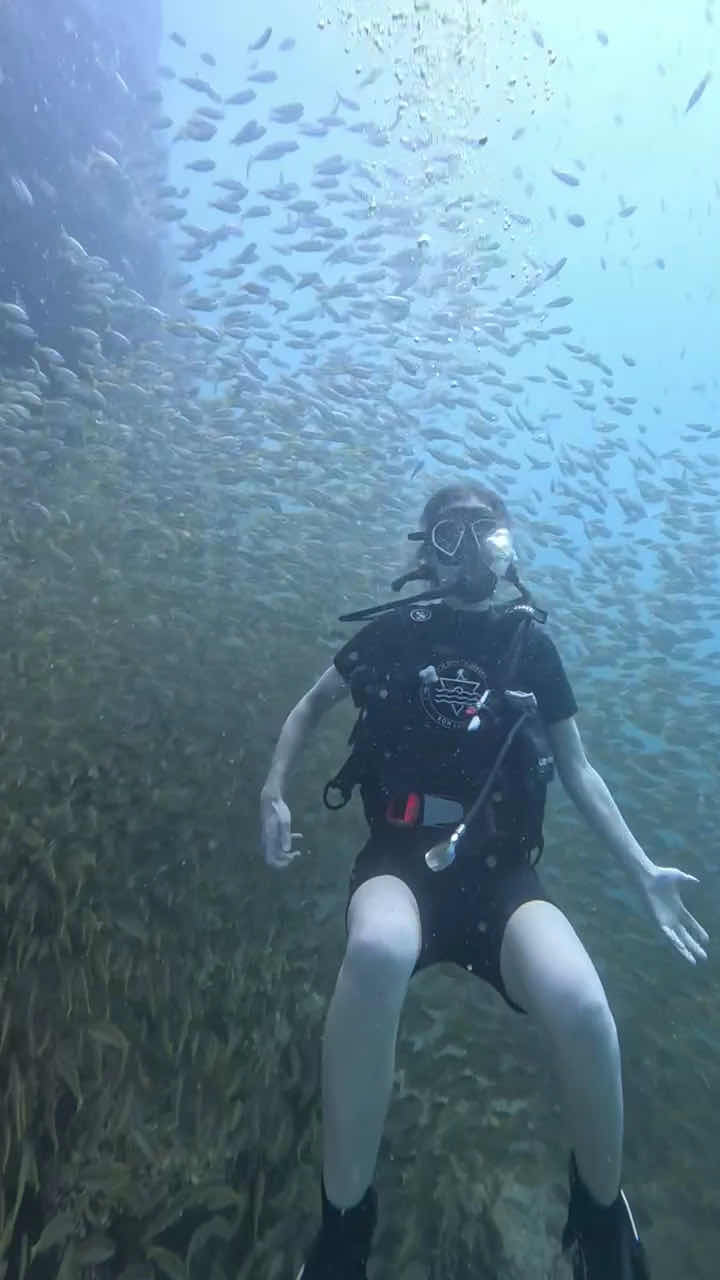 Apo Dhatu Divers photo 10