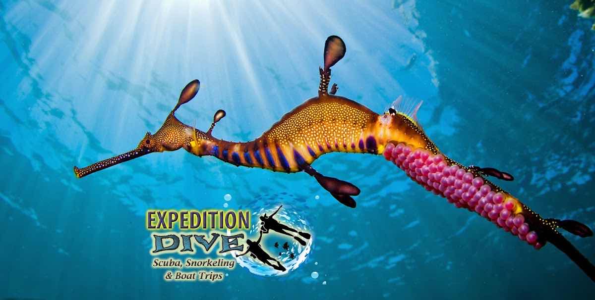 Expedition Dive photo 2