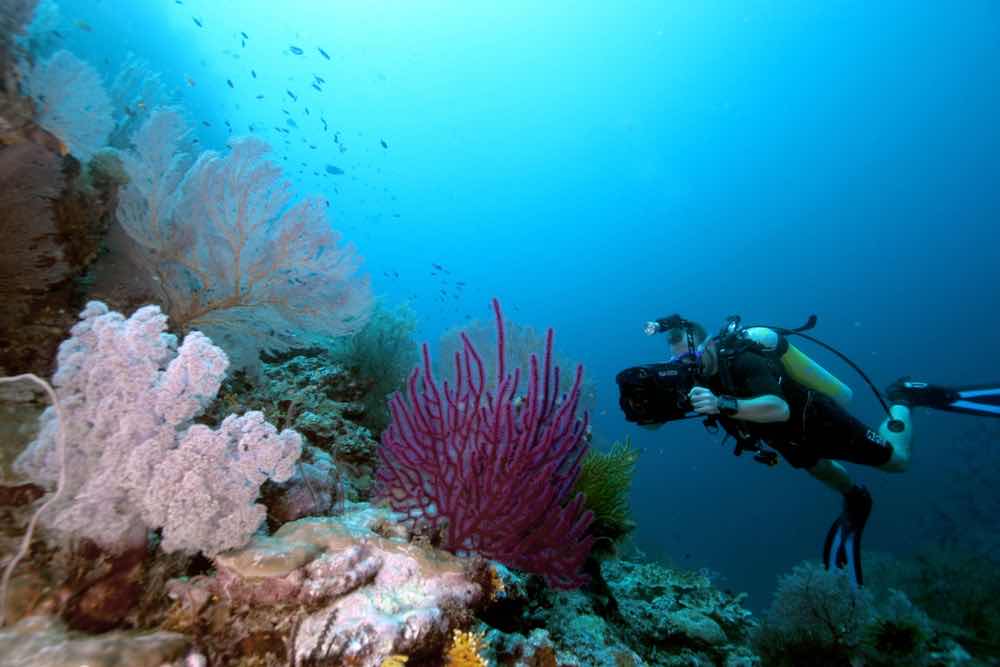 Expedition Dive photo 6