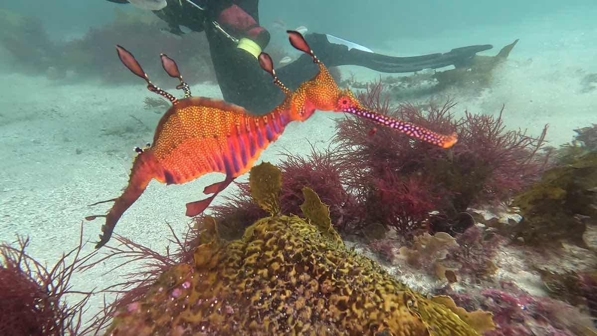 Expedition Dive photo 10
