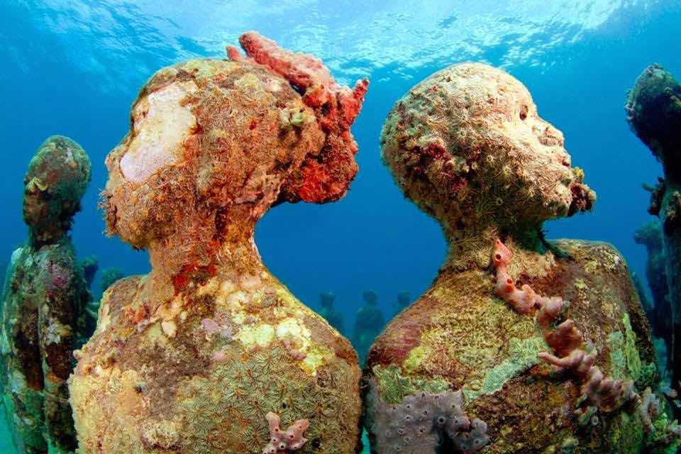 Eco Dive, Grenada Blue photo 1