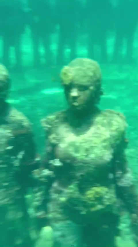 Eco Dive, Grenada Blue photo 3