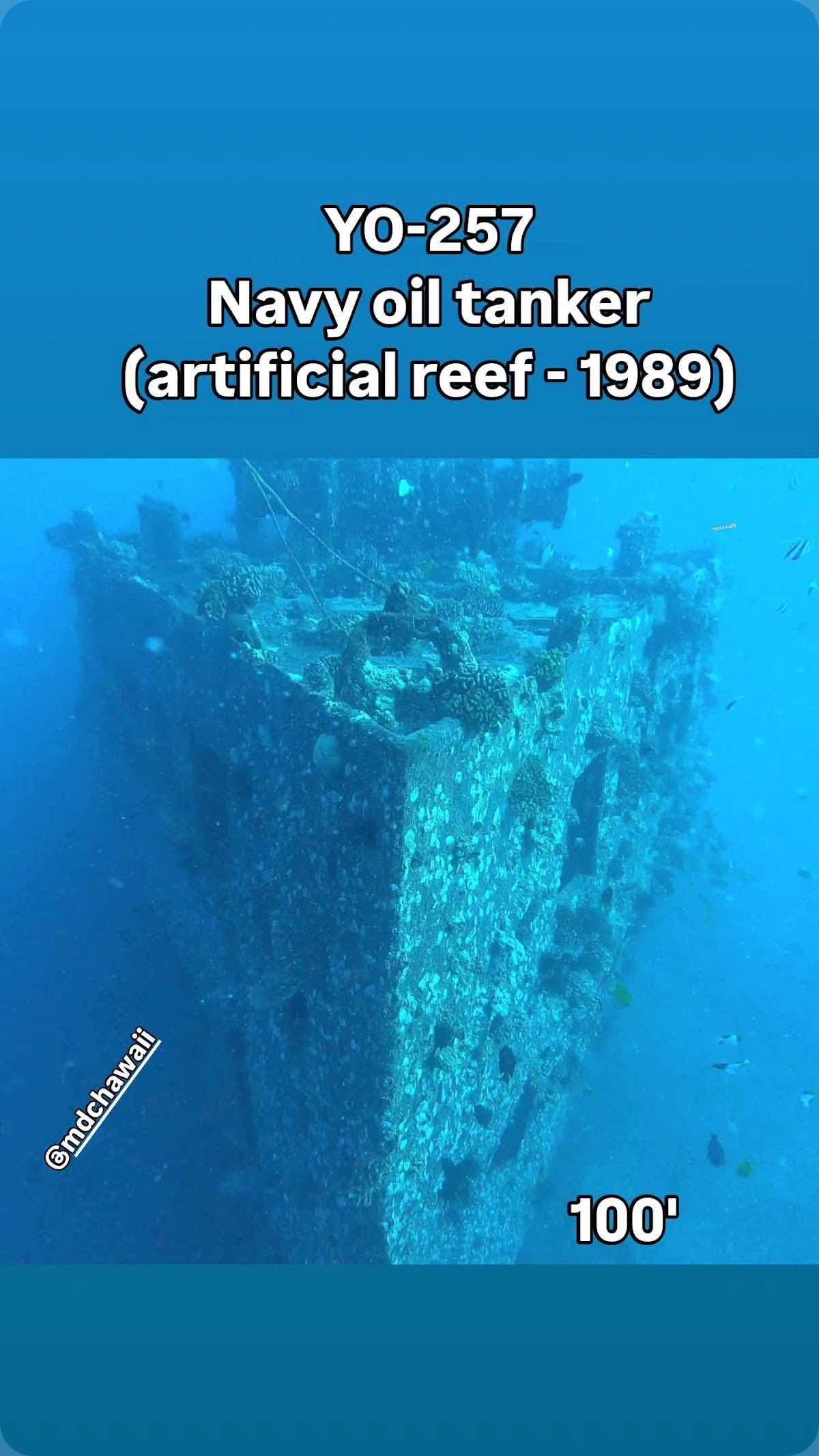 Manini Dive Company Hawaii photo 2