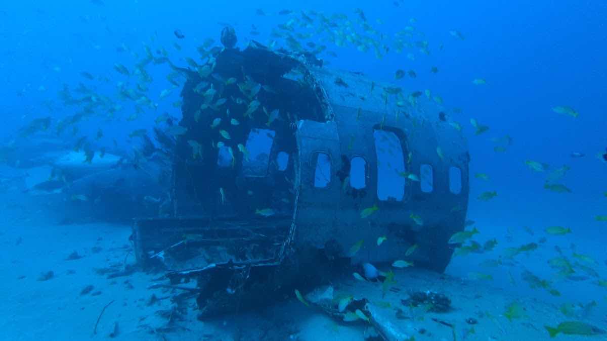 Manini Dive Company Hawaii photo 3