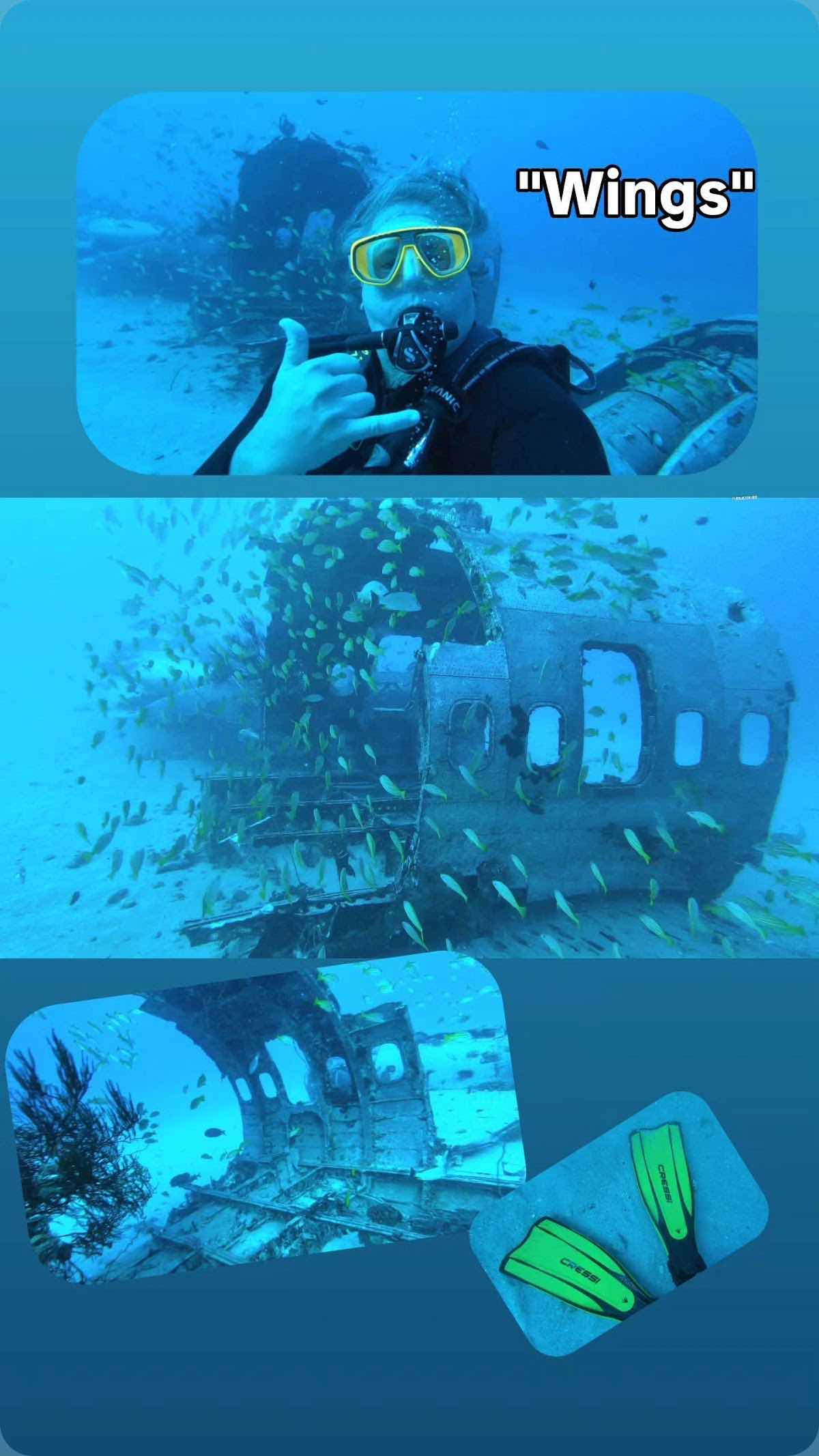 Manini Dive Company Hawaii photo 4
