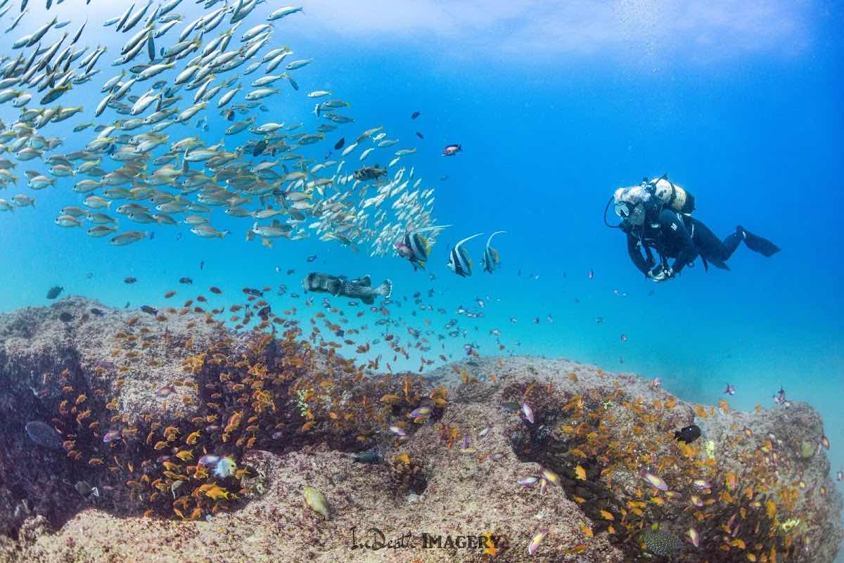 DIVERSITYScuba photo 10