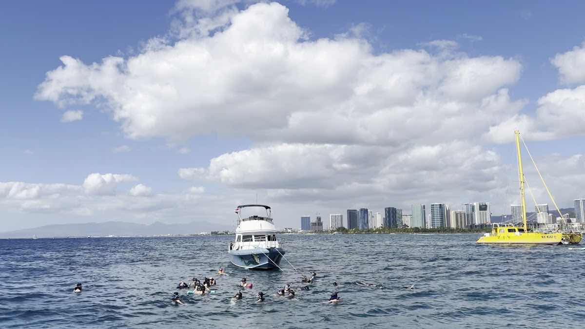 Living Ocean Tours photo 3