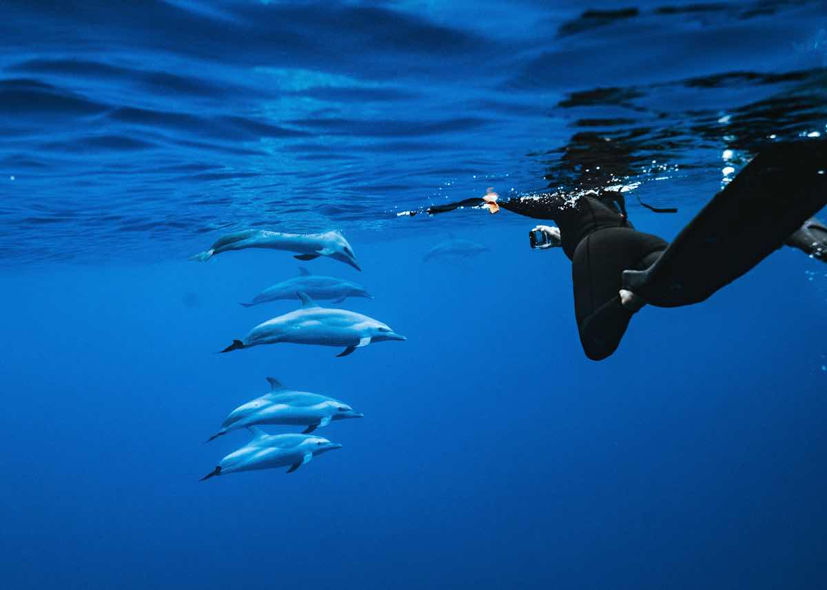 Living Ocean Tours photo 8