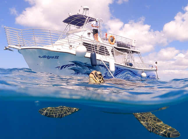 Living Ocean Tours photo 9
