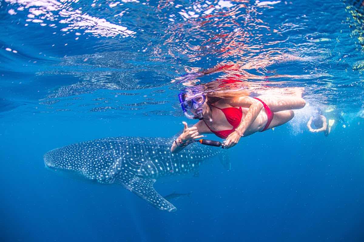 Exmouth Dive & Whalesharks Ningaloo photo 8