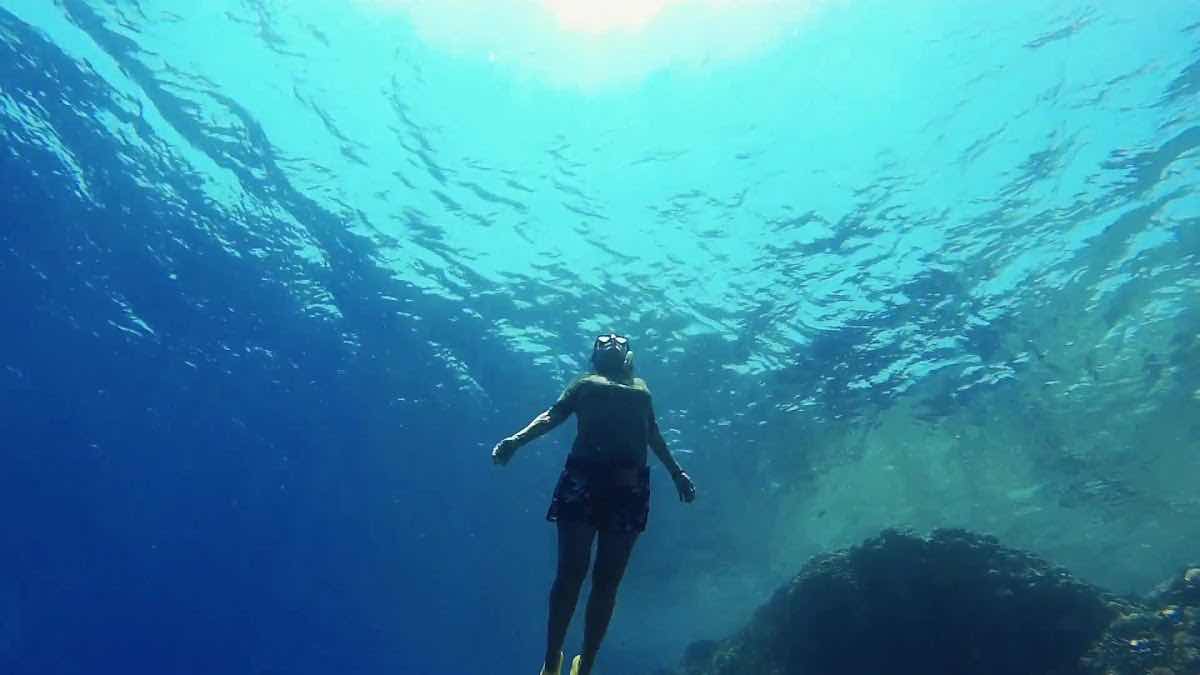 Deep Zen Freediving - Sharm el Sheikh photo 4