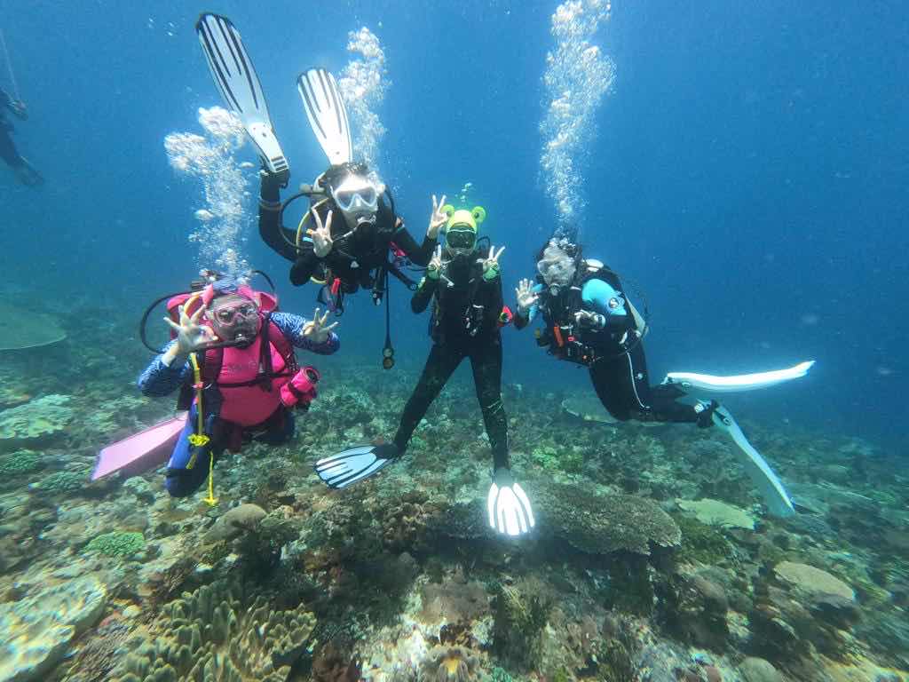Air Dive Alor photo 5