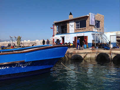 Dive Technician Centre Hermanus photo 3