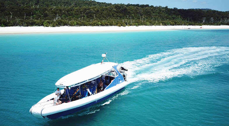 Dive Safari Whitsundays photo 6