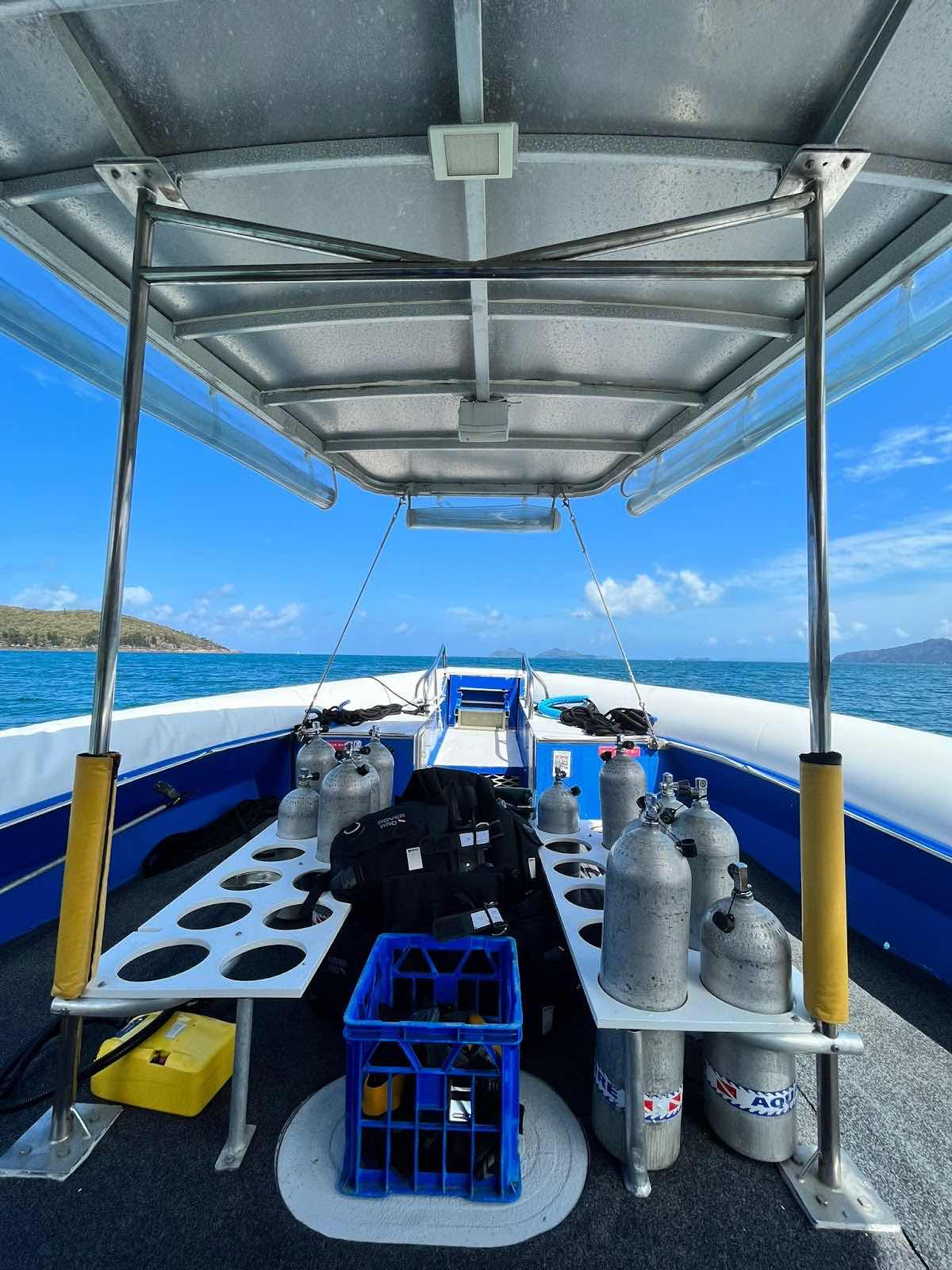 Dive Safari Whitsundays photo 10