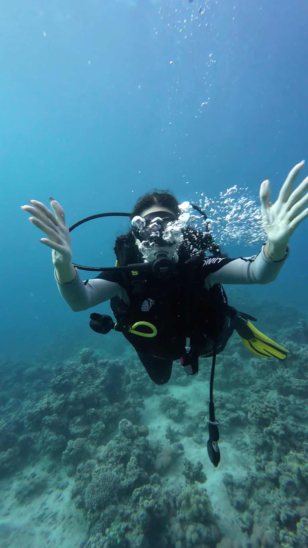 Sea wonders Diving Center photo 3