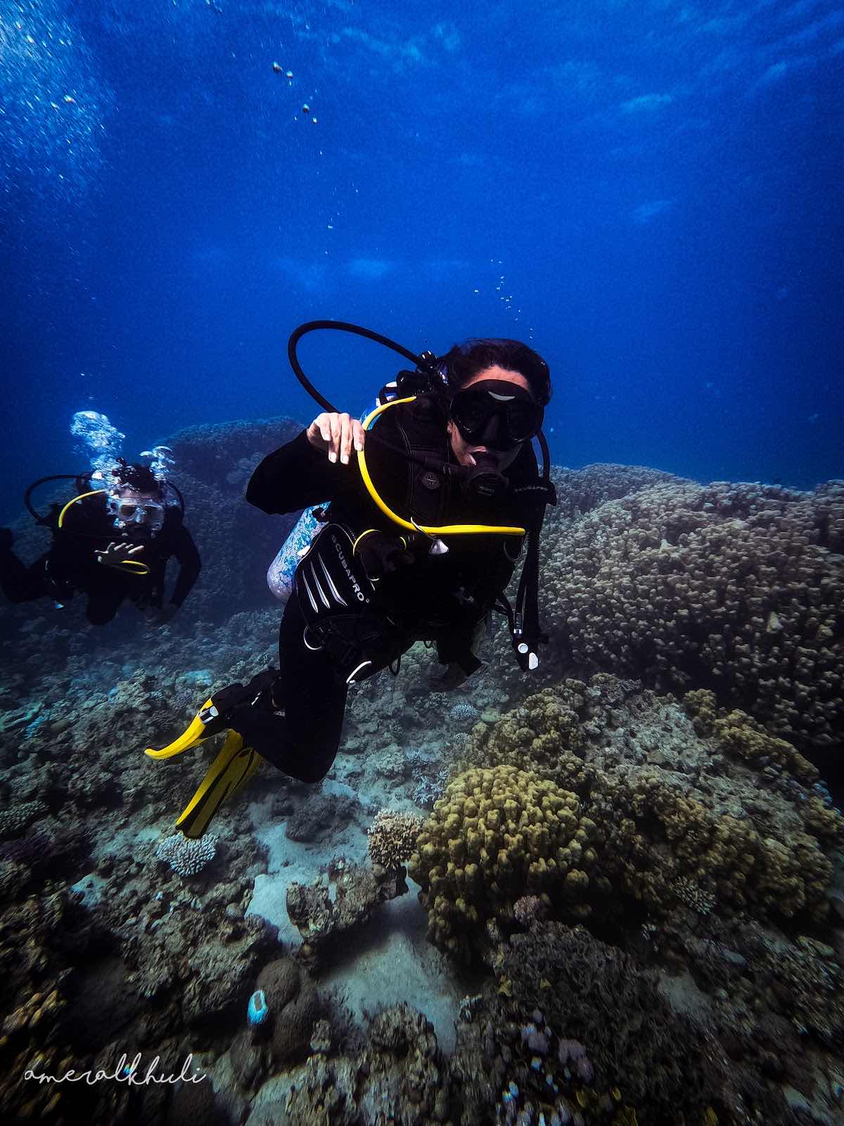 Sea wonders Diving Center photo 9