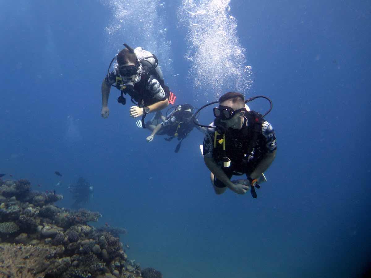 Red Sea Marine Diving Center photo 1