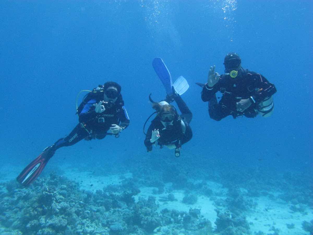 Red Sea Marine Diving Center photo 2