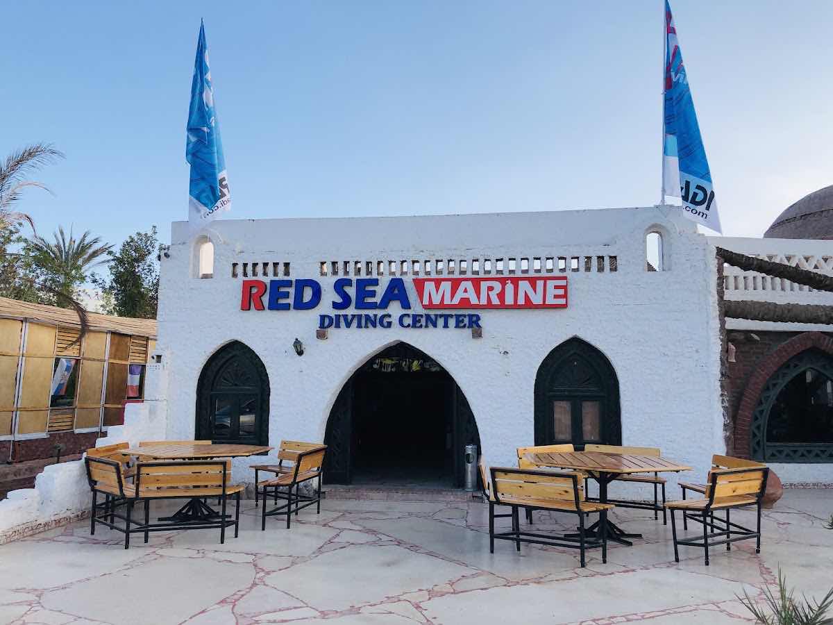 Red Sea Marine Diving Center photo 10