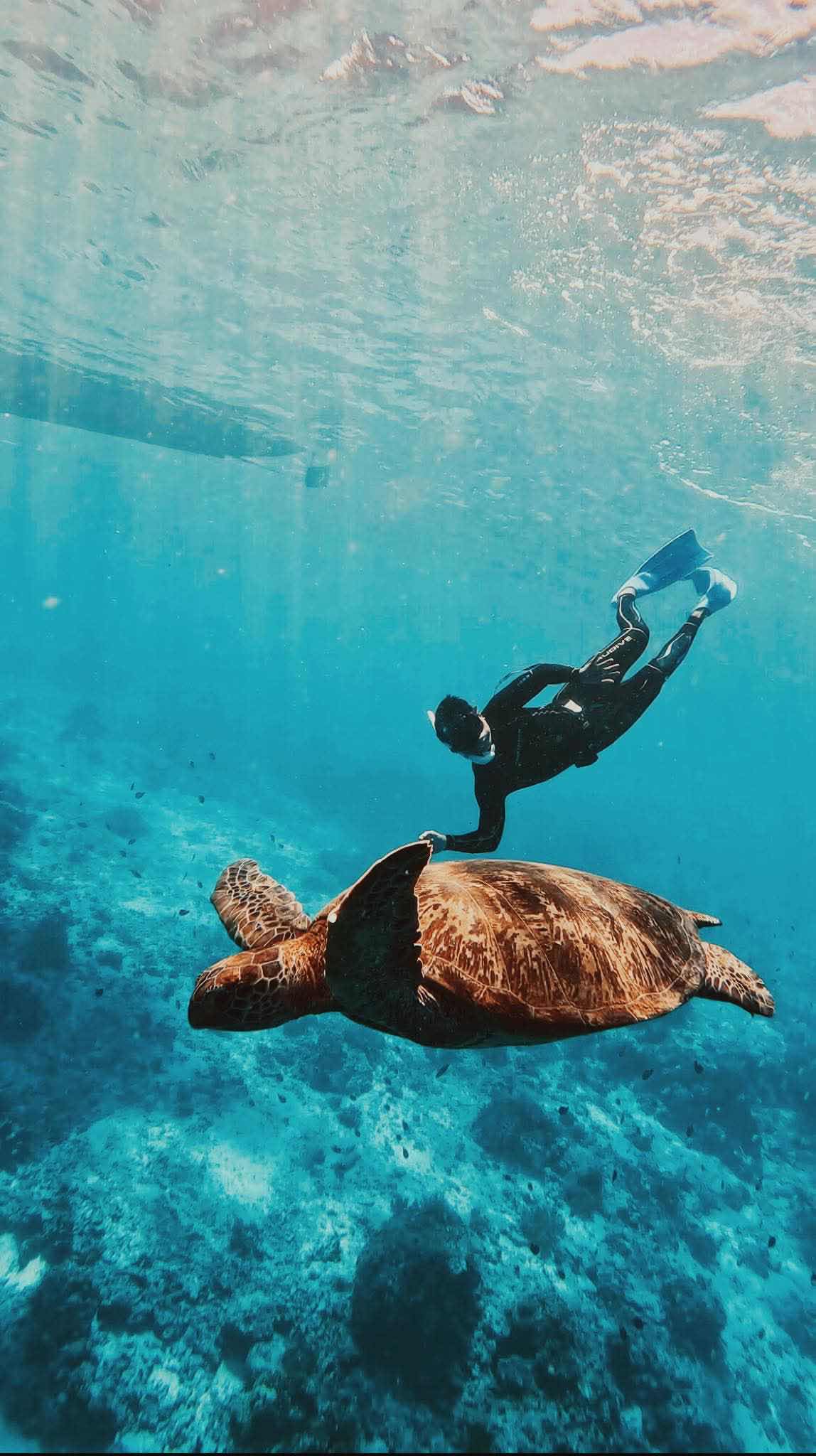 Kalma Freediving photo 2