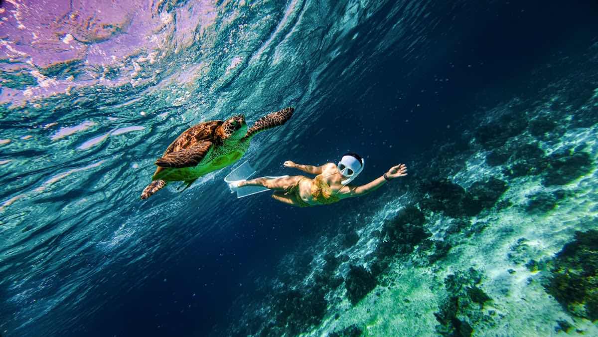 Kalma Freediving photo 6