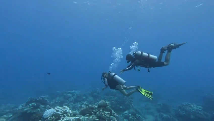 Pacific Divers PADI 5 star IDC photo 3