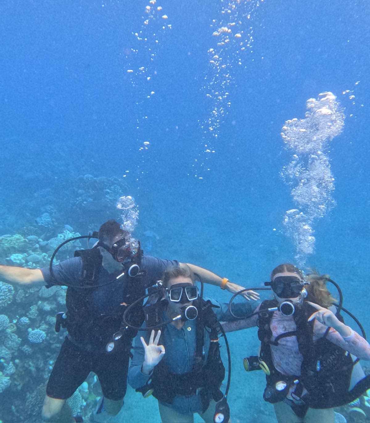 Pacific Divers PADI 5 star IDC photo 4