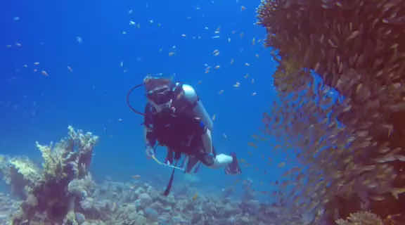 Scuba World Divers JAZ Neo Reef Marsa / Jaz Grand Marsa photo 2