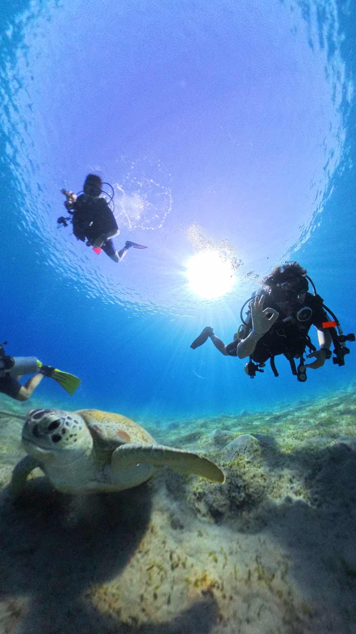 Scuba World Divers JAZ Neo Reef Marsa / Jaz Grand Marsa photo 8
