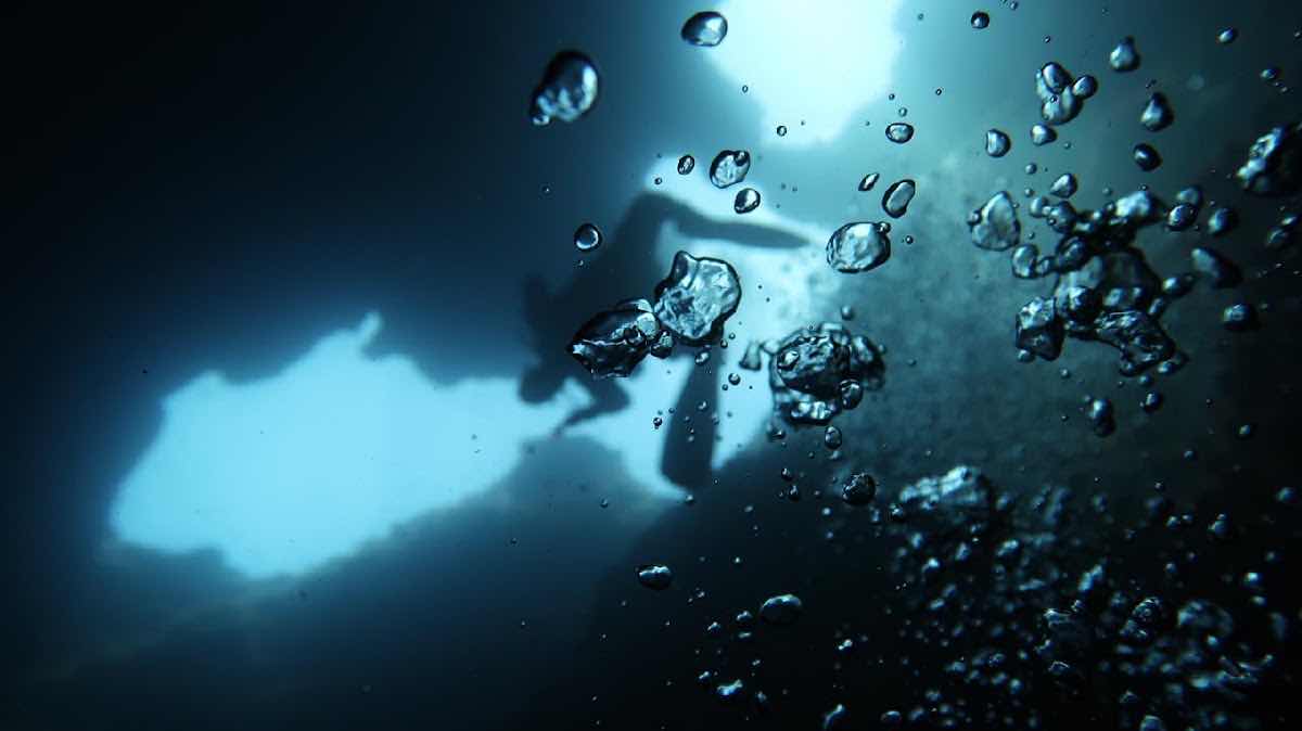 Fun Dive Club - Diving Croatia photo 1