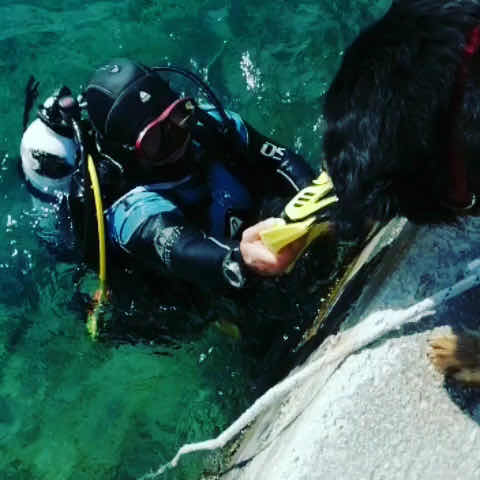 Fun Dive Club - Diving Croatia photo 5