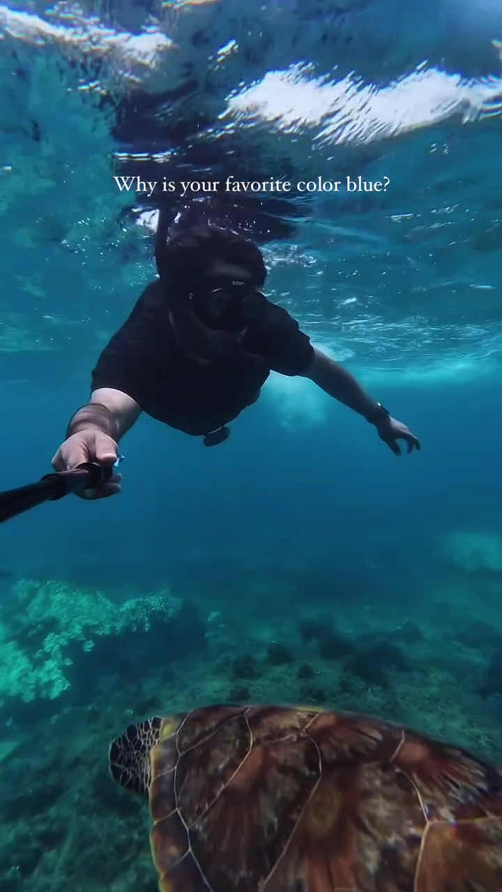 Aqua Dive photo 4