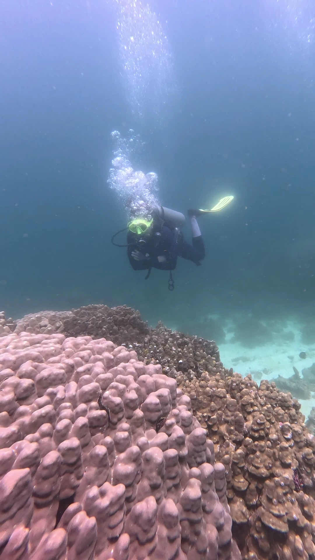Aqua Dive photo 5