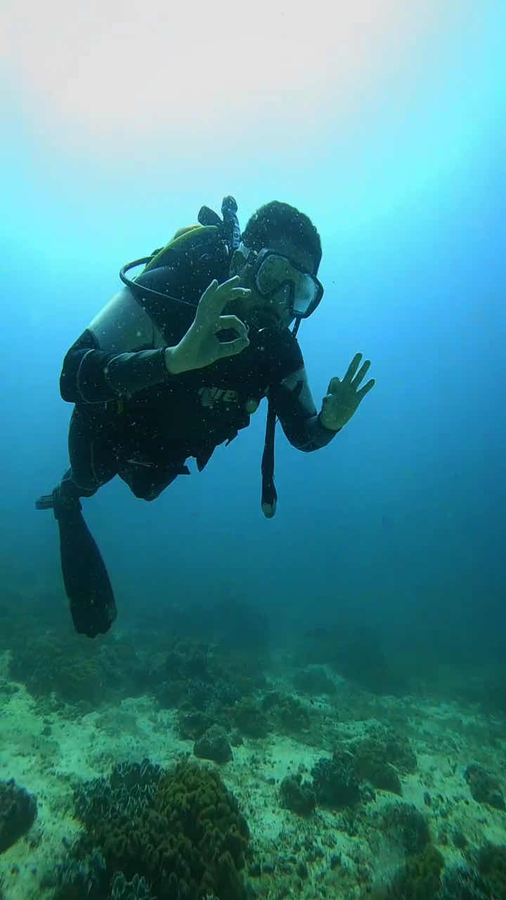 Aqua Dive photo 10