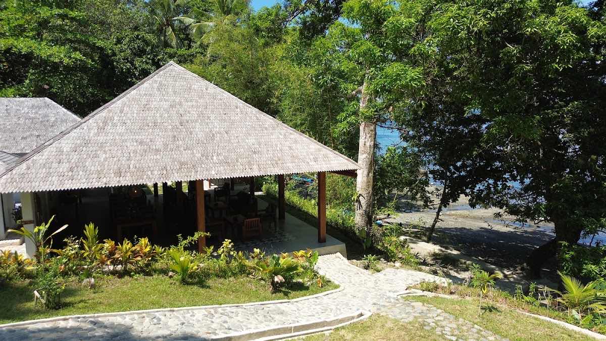 Ambon Dive Resort photo 10
