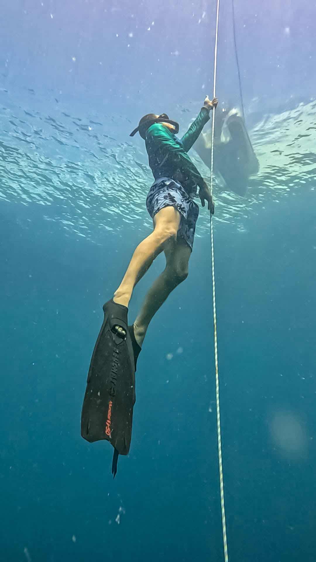 Orenda Freediving & Island Cruises photo 2