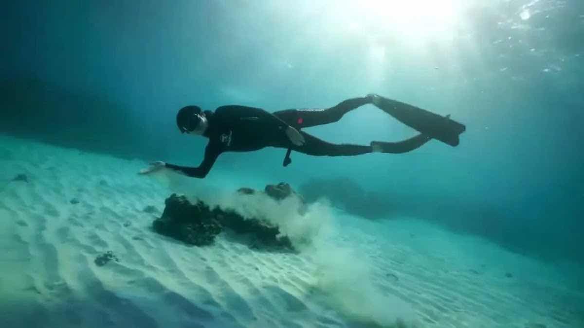Orenda Freediving & Island Cruises photo 5