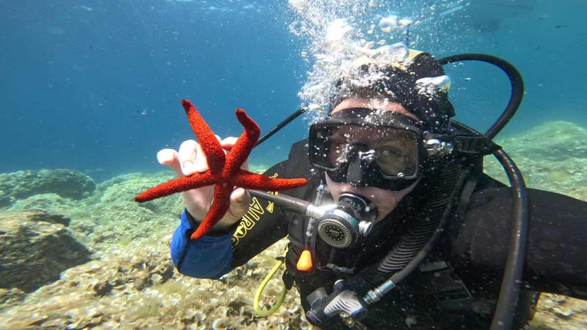 People's Diving Club photo 3