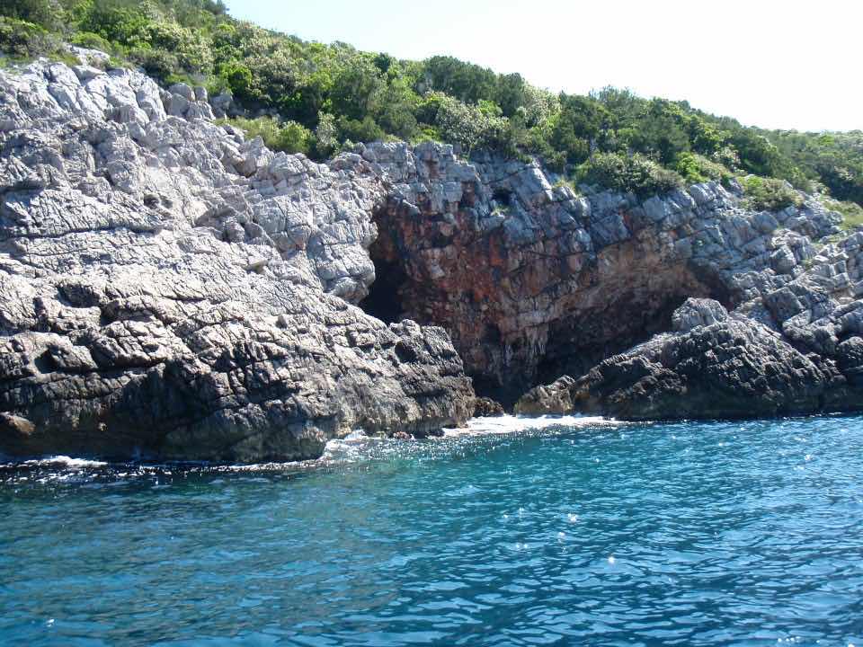People's Diving Club photo 8
