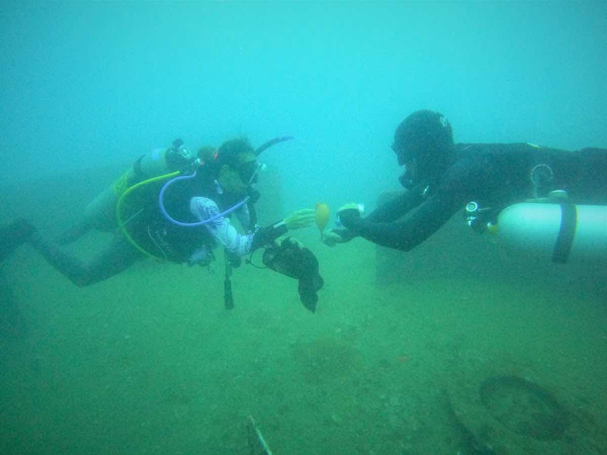 IDC Koh Tao | Divemaster & Instructor photo 8