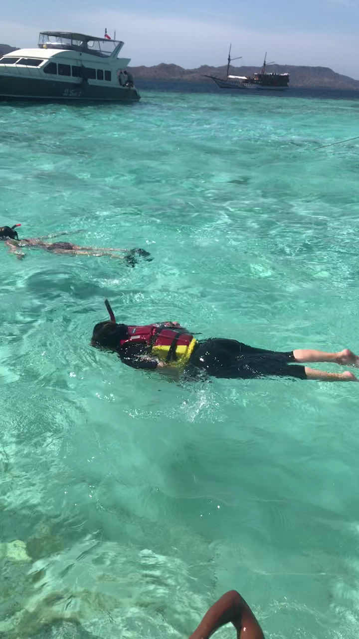 Manta Dive Komodo photo 1