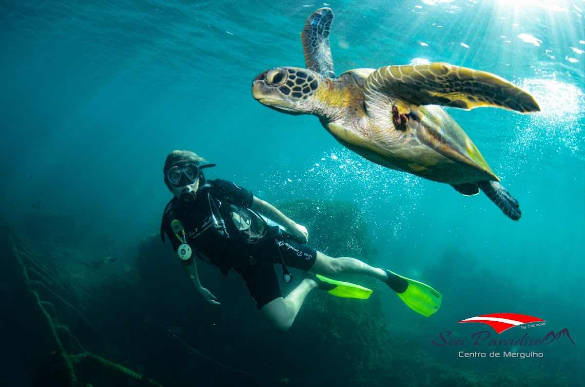 Sea Paradise photo 1