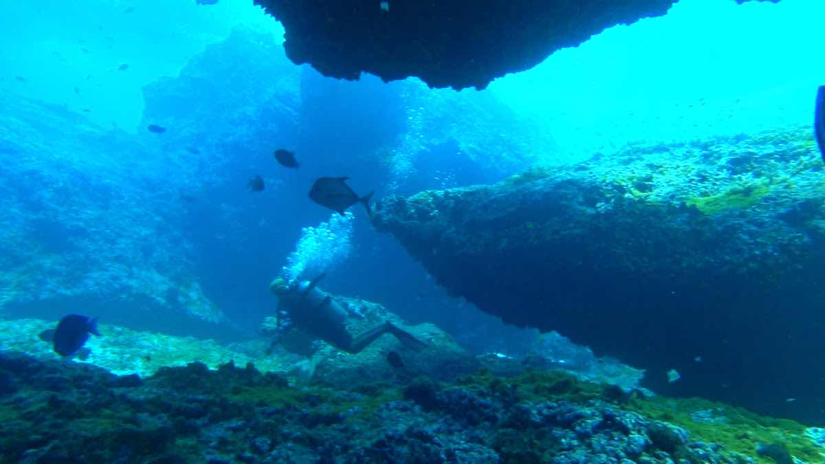 Sea Paradise photo 3