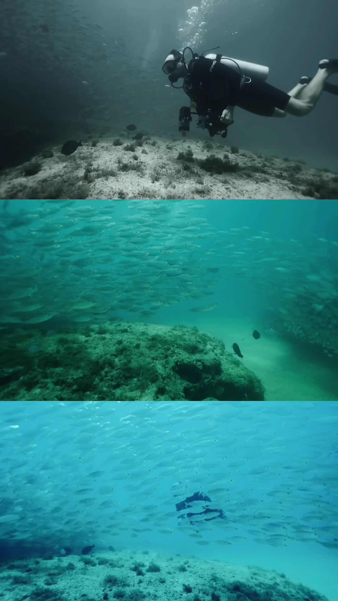 Sea Paradise photo 4