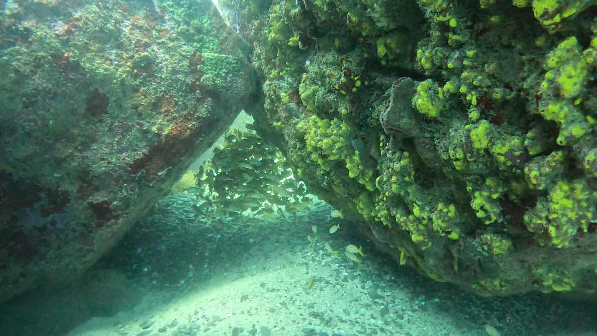 Sea Paradise photo 10