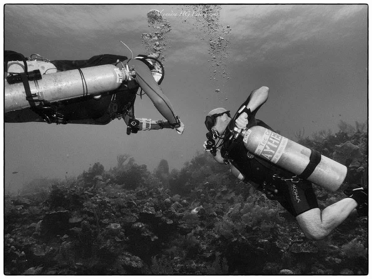 Roatan Tec Center photo 3