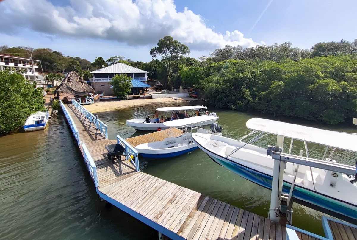 Roatan Tec Center photo 6