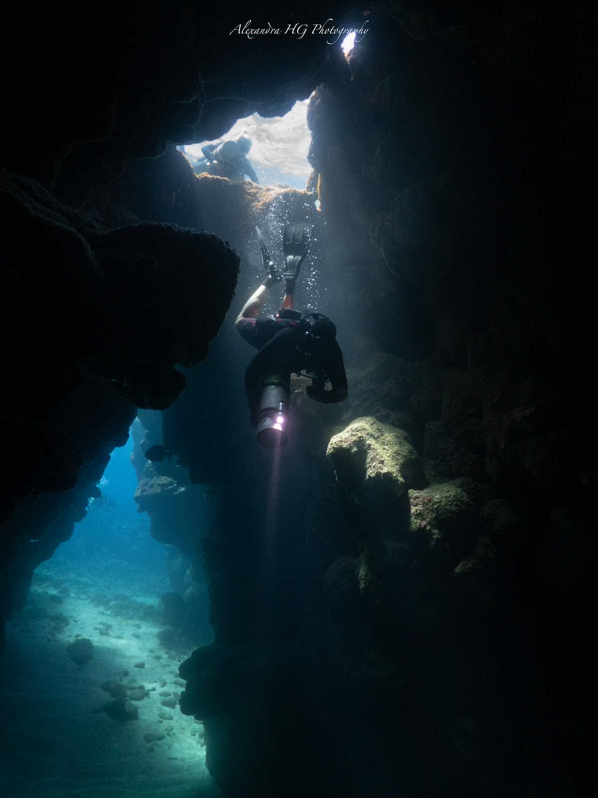 Roatan Tec Center photo 8